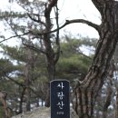 다음산행 8월 13일 제113차 괴산 사랑산 (647m) 등산안내 이미지