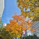 (주)우리엔 서울 | 2025 샴페인 서울 후기 | 조선팰리스에서 보낸 버블 가득한 오후🍾