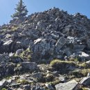 ※ Forgetmenot Mountain 기행문 – 250822 이미지