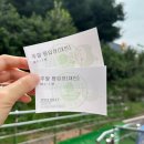 그늘막14 | [안성] 안성팜랜드 코스모스축제 꽃구경 후기 (9월 중순 개화현황, 이용요금, 전체지도 등)