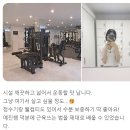 찐핏 이미지