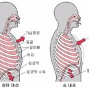 해머하우스 이미지