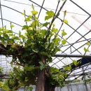 미옥농장 이미지