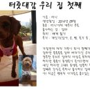 맥가이버언니