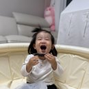 쌀팜 | 아기 촉감놀이 우리쌀 100% 단콩팜 클레이 홈문센 집콕놀이