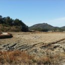 금당면-2 이미지