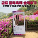 바람고개길 | 군포철쭉축제 &amp; 군포철쭉동산 솔직후기, 평일에도 많은데 주말엔?(주차장·가는법·일정·팁까지)