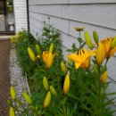 나리빛펜션 이미지