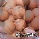 로웰_뷰