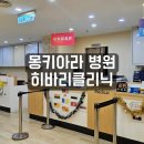 백두산약국 | 쿠알라룸푸르병원 몽키아라 히바리클리닉