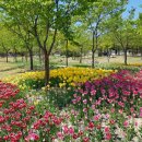 장위래미안(단지내)공인중개사사무소 이미지