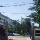금성마트 이미지