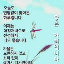버킹검 이미지