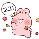 살빼 몸빼 빼빼 이미지