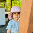 풀잎어린이집 이미지