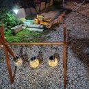 양양에 살다 이미지