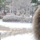 서초구보건소 화장실 이미지