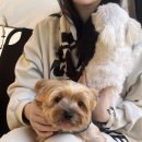 봉바위농원 | 김포 봉바위농원 캠핑장 나1 사이트 애견동반 캠핑