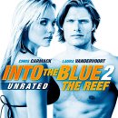 블루스톰 2 Into the Blue 2: The Reef, 2009 제작 미국 | 액션 외 | 청소년관람불가 | 92분 감독스테판 헤렉 출연크리스 카맥, 로라 밴더부트, 마샤 토마슨, 마 이미지