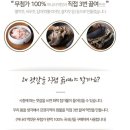 호천식품 이미지