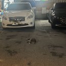 삼성전기 부산사업장 제2식당 | 8-2. 무더운 더위 속 소중한 인연들