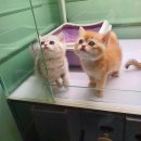 남구-037 이미지