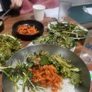 서울야채 - 공주시 의당로 152 | 서울야채