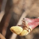 월문5리 이미지