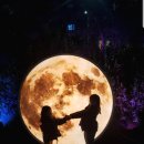 불광천3 이미지