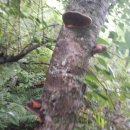 1박2일민박 이미지