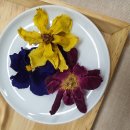 한방 꽃차 소믈리에 이미지