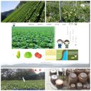 여주-0191 네이버블로그