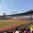 두산스포츠 | 잠실 야구장 먹거리 추천 티켓 가격 기아 두산 LG 좌석 3루 레드석 후기