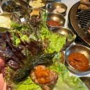 우와회관 이미지