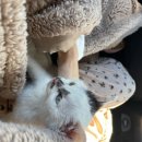 신공항동물병원 이미지