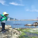 경정민박 이미지