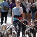 나만 없어 고양이 이미지