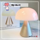 램프 | 내돈내산 렉슨 미니램프 미나 M 후기, 버섯램프 무드등램프