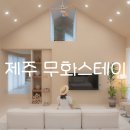 제주무화펜션 네이버블로그