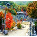독락방책(獨樂方策) 이미지