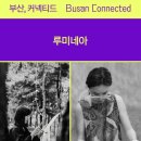 신진비디오 이미지