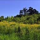 푸른수목원 이미지