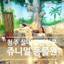 언제나방목닭민박농장 | 청주 이색데이트 실내 갈만한곳 쥬니멀 동물원