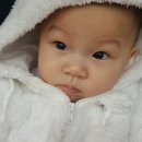 환스이비인후과 네이버블로그