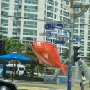 북항회타운 이미지