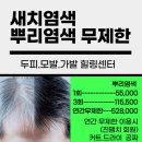 치유살롱 - 해운대구 | 치유살롱