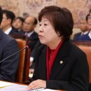스테이윈도우 이미지