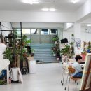 사파동213 이미지