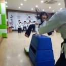 우일태권도장 이미지