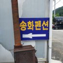 괴산 가볼만한곳 / 내돈내산 쌍곡계곡 평상 대여 / 송화펜션 평상 6만원 / 급류타고 유수풀 놀이가 가능...